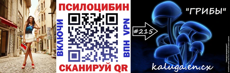 Купить закладки  Нягань  Псилоцибиновые грибы Psilocybe 